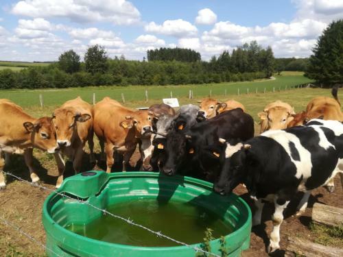 La Ferme Oubli�e