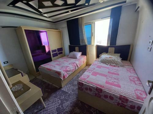 Luxurious Alexandrian Apartment