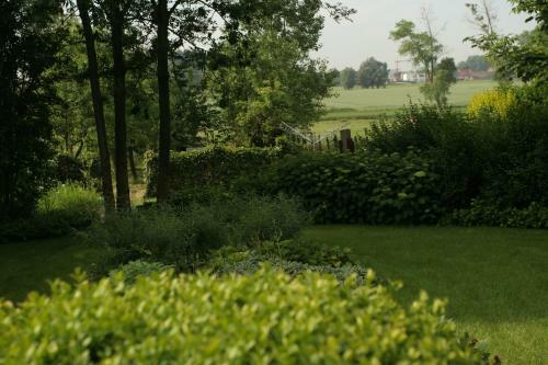 B&B Goudsbloempje