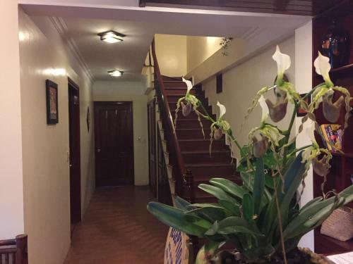 Fansipan Mountain View Sapa Hotel