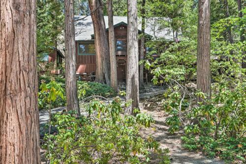 Comfortable Mi-wuk Village Cabin Hike And Ski!