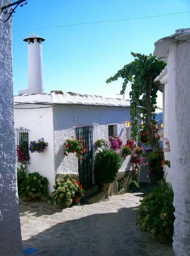 Apartamento Casita Buena Vista