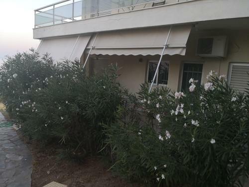Apartamento Sea Dream