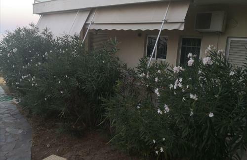 Apartamento Sea Dream