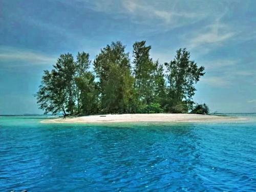 Package Tour Raja Ampat
