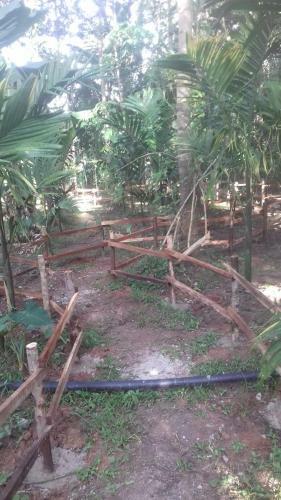 Livin Hub Homestay
