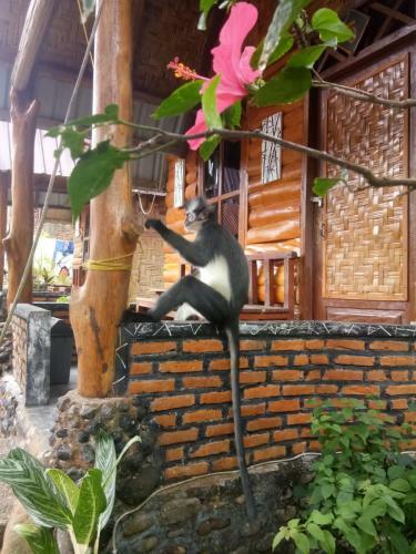 Agroturismo Lucky Bamboo