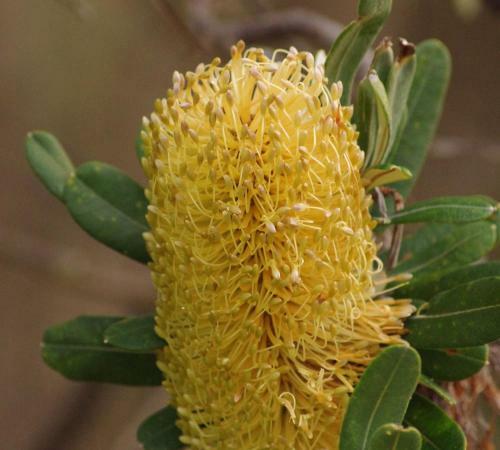 Apartamento Tura Beach House