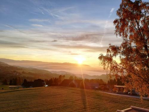 Hochleben-chalets Am Erlebnisbauernhof Steinerhof
