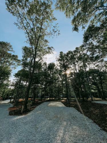 Adorable Studio Style Cabin Located Minutes From Lake Hartwell