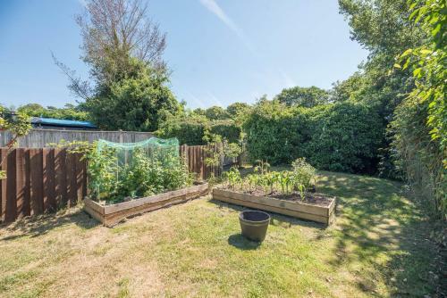 Rose Cottage Halesworth Air Manage Suffolk