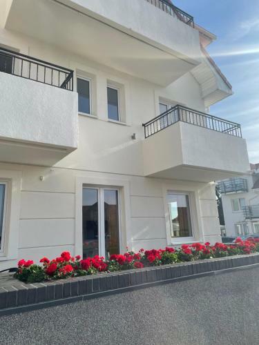 Hostal Villa Vis Avis II