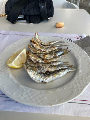 Apartamento Casa Kroon