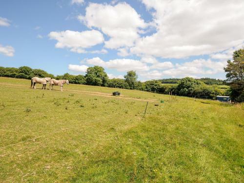 Shepherds Hut