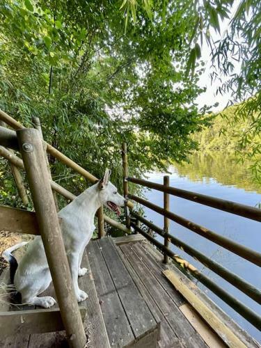 Entre Rivi�re & Bambous / Vue Rivi�re / Parc Arbor�
