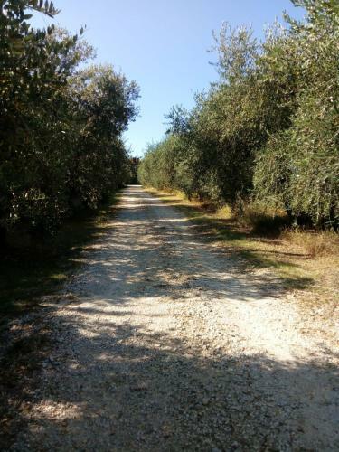 Agroturismo Agriturismo Madre Terra