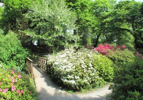 Roman Bridge Close