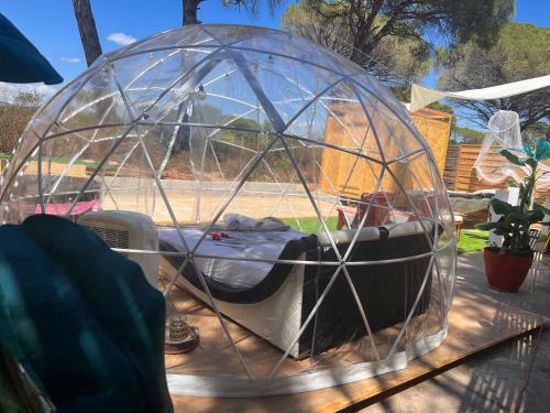 Bulle Insolite Esterel