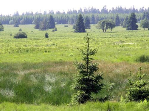 Holiday Home Hautes Fagnes Malmedy