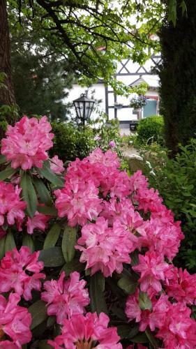 Apartamento Souterrain & Jardin