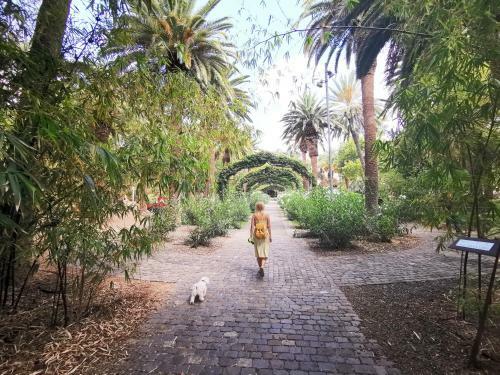 Home2book Charming Center Apartment Santa Cruz