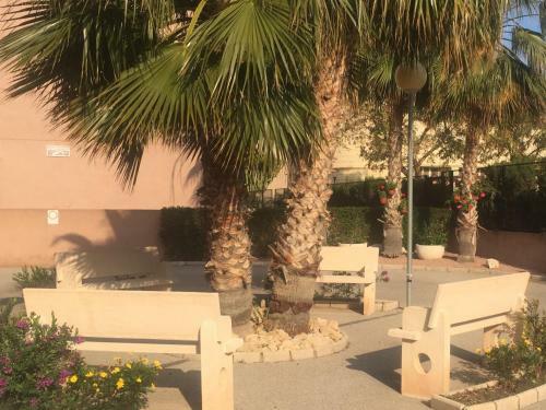 Apartamento Piscina Y Terraza A 200m Del Mar