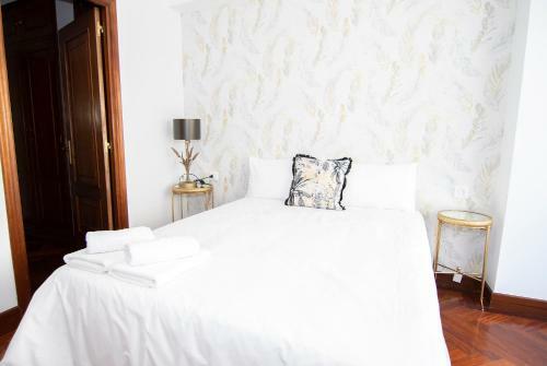 Gs-enorme Apartamento En Pleno Centro de Santiago