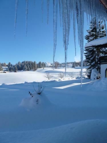 Baldauf's Alpchalet