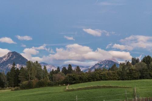 Baldauf's Alpchalet