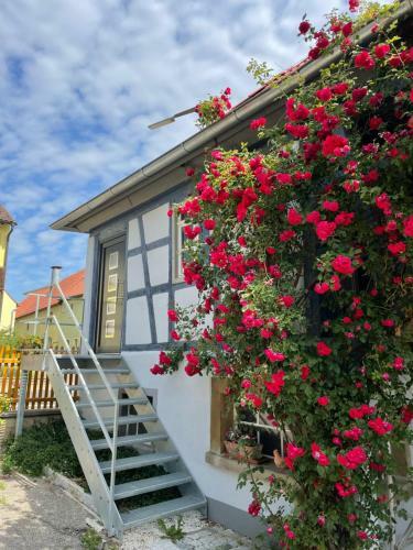 Apartamento Ferienwohnung Habelsee Verweilzeit