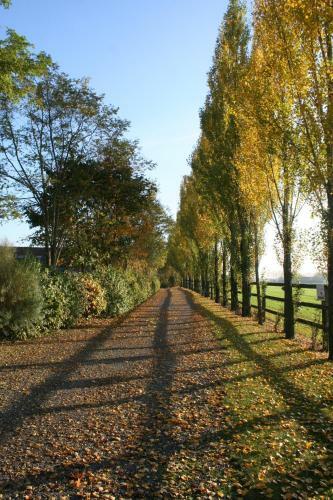 B&B Het Eycken Huys