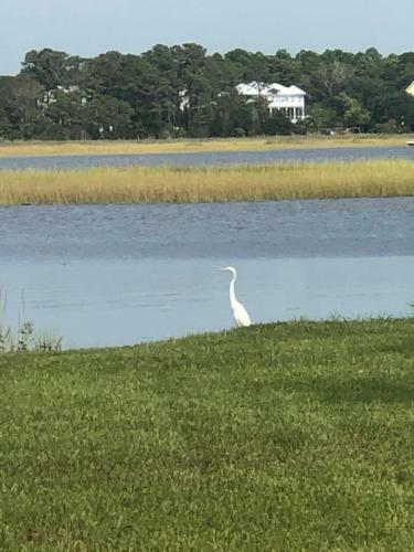 Dockside Paradise By Oak Island Accommodations