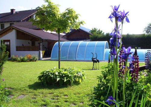 Hostal Pension Tilly