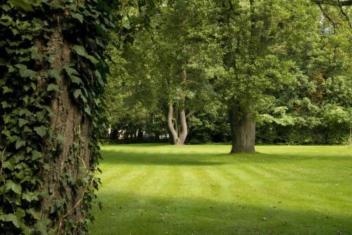 B&B Bloemenweelde