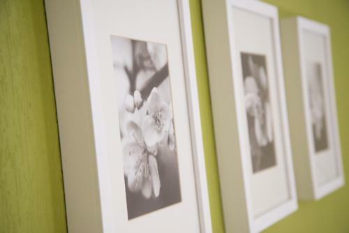 B&B Bloemenweelde