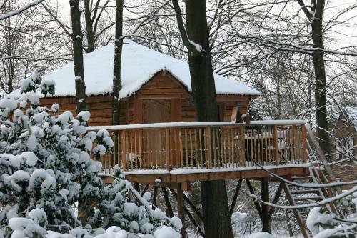 B&B La Cabane Du Bois Dormant