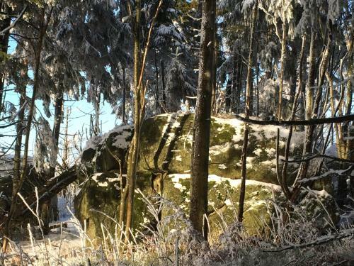 Hostal Gasthof Waldschenke