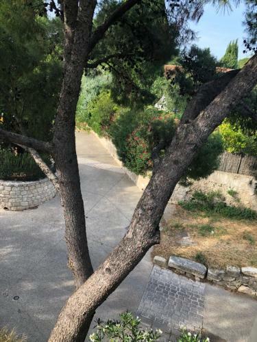 Bed & Breakfast Chambres D'h�tes Dans Une Ancienne Bergerie