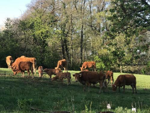 Bed & Breakfast Les Ombrieres