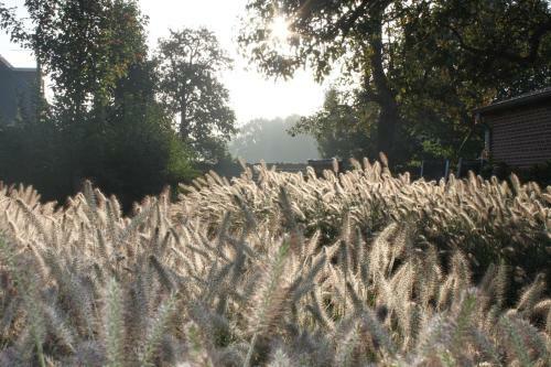 B&B De Rijcke Rust