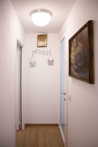Le Rondini - Courtyard Apartment With Balcony & Terrace