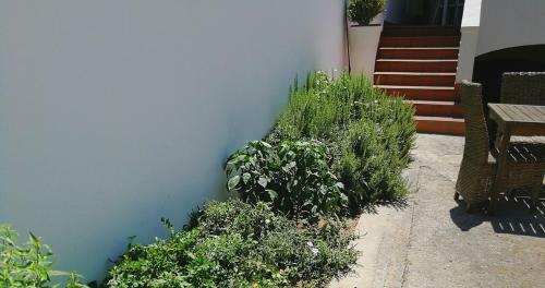 Hostal Dimora Marulli