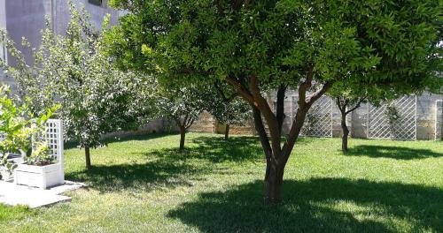 Hostal Dimora Marulli