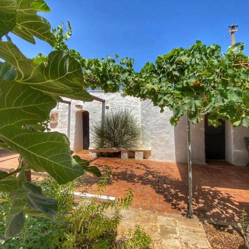 Villa Trullo Seaside Polignano