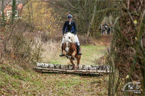Hostal Pension & Reitstall Inghofer