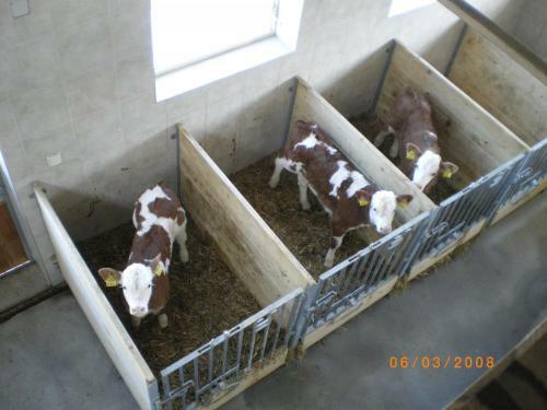 Agroturismo Russbachbauer