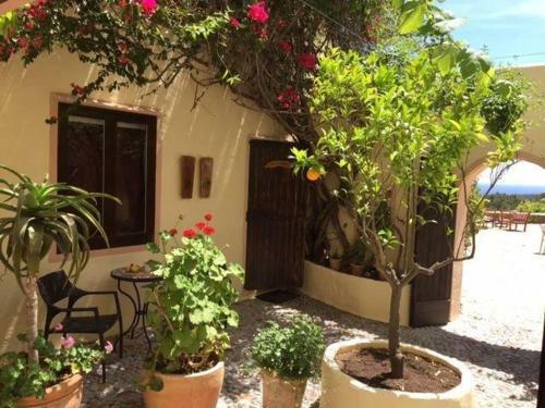 Hotel Agroturismo Can Talaias San Carlos