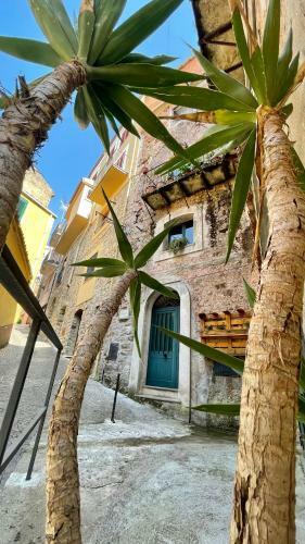 Case Vacanze Farinella