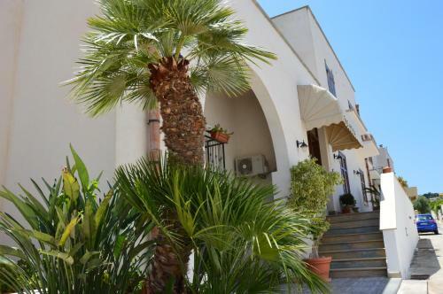 Bed & Breakfast Attinia