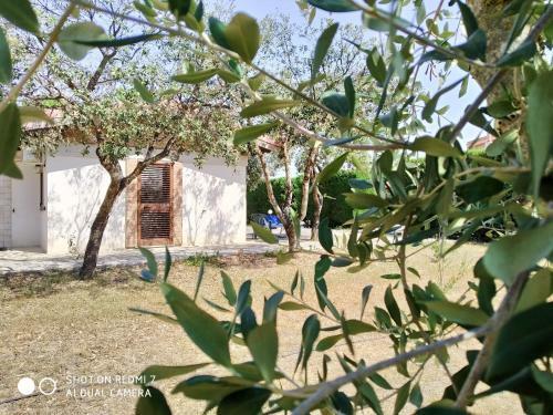 B&B Villagiulia